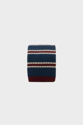 Purificacion Garci Ties Navy/Red Striped Silk Knit Tie Men